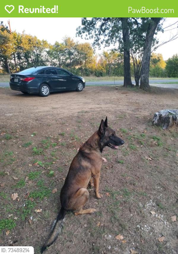 Reunited Male Dog last seen FM 414 and FM 415, Cleburne, TX 76031