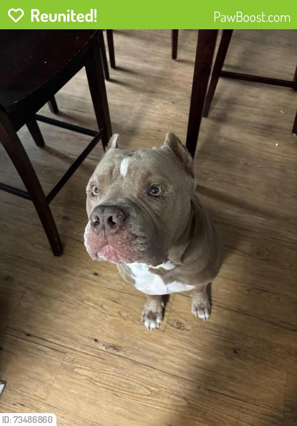 Reunited Male Dog last seen Mi, Lake Jackson, TX 77566