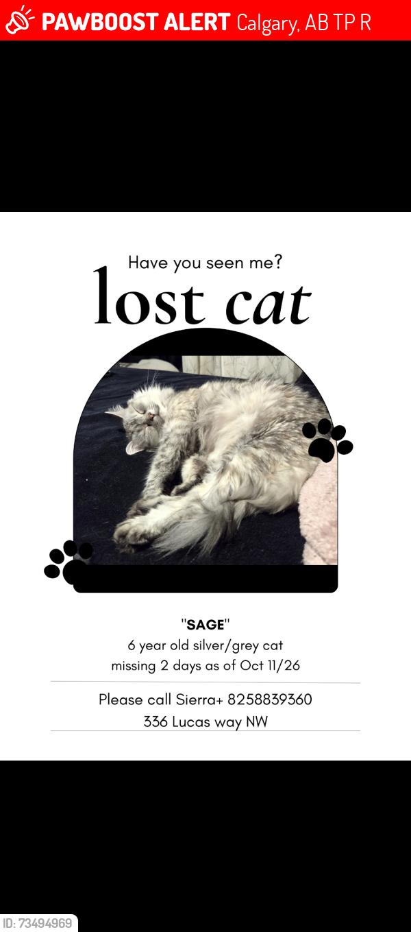 Lost Female Cat last seen Near Ave nw, Calgary, AB T3P 0R5