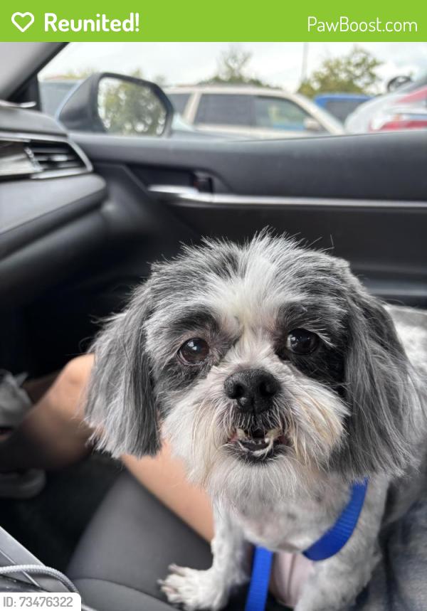 Reunited Male Dog last seen Morris and Candelaria, Albuquerque, NM 87111