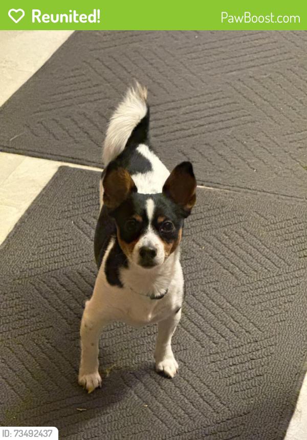 Reunited Female Dog last seen Se 34th, Vancouver, WA 98683