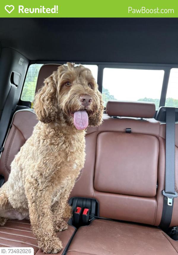 Reunited Female Dog last seen St. Bernadette Catholic Church, Lorton, VA 22079