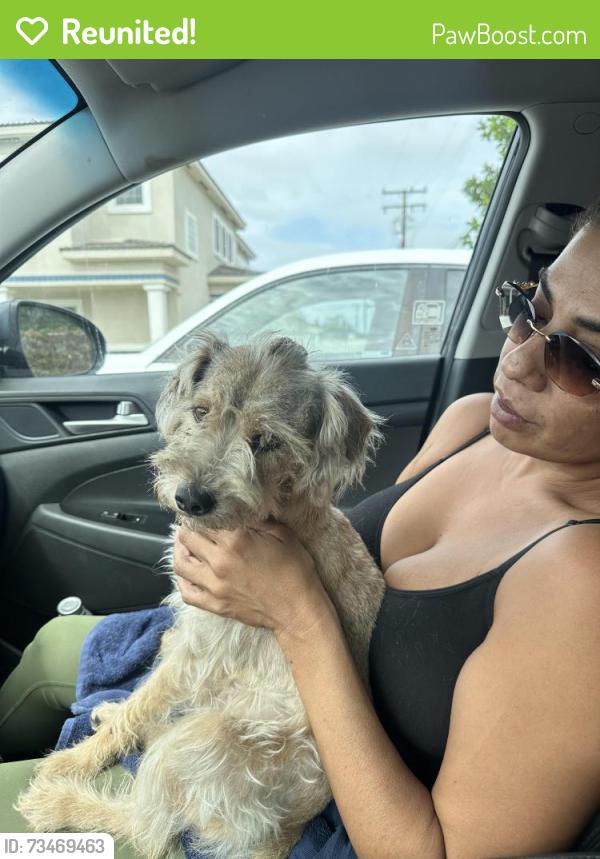Reunited Male Dog last seen Michael Hunt, Peck, riverbed neighborhood, El Monte, CA 91733