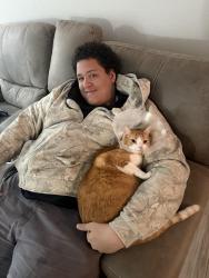 Reunited Male Cat last seen Near Oleander Ridge Way, Cypress, TX 77433, USA, Cypress, TX 77433