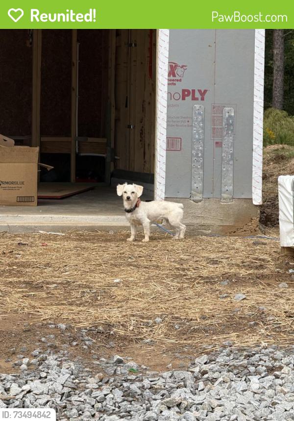 Reunited Unknown Dog last seen In home under construction at the end of Orwell drive in Avery ridge neighborhood, Gainesville, GA 30507