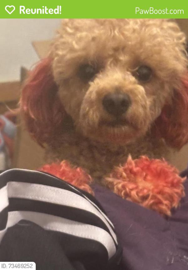 Reunited Male Dog last seen Burbank Denver, Milwaukee, WI 53224