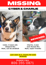 Reunited Male Dog last seen Hwy 158, Midland, TX 79706