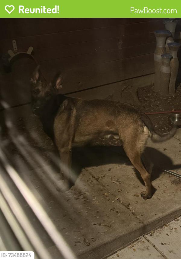 Reunited Unknown Dog last seen FM 3136, Cleburne, TX, Cleburne, TX 76031