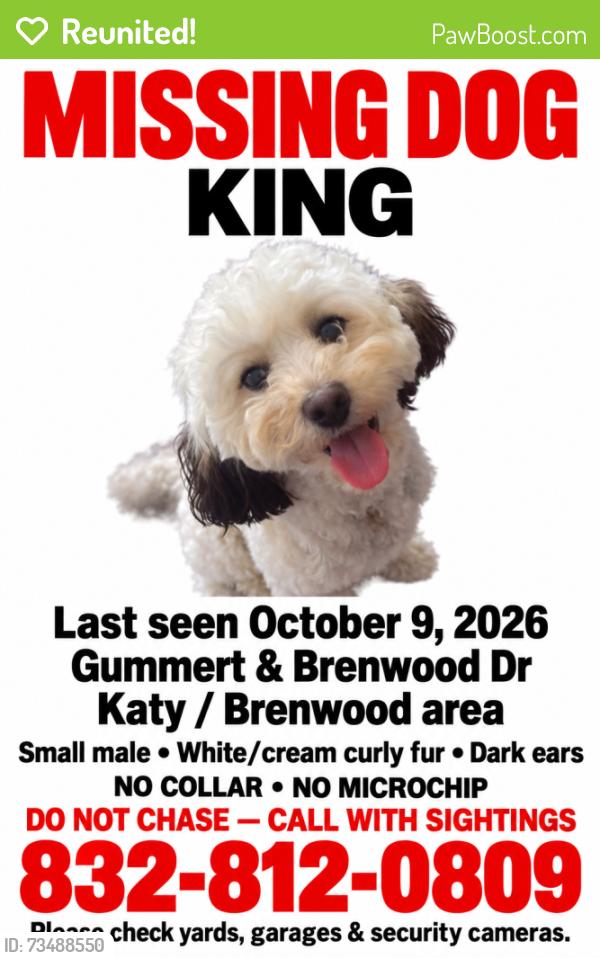Reunited Male Dog last seen Near Venito Dr, Katy, TX 77449