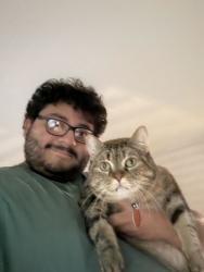 Reunited Female Cat last seen E 111th St and E 106th St, Indianapolis, IN 46280