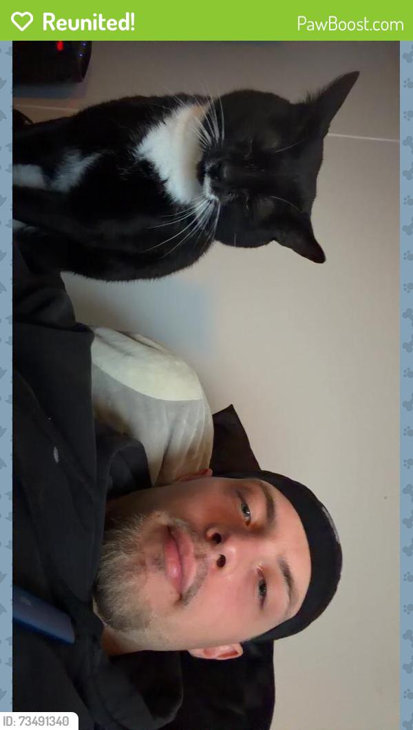 Reunited Male Cat last seen King, NC, USA, King, NC 27021