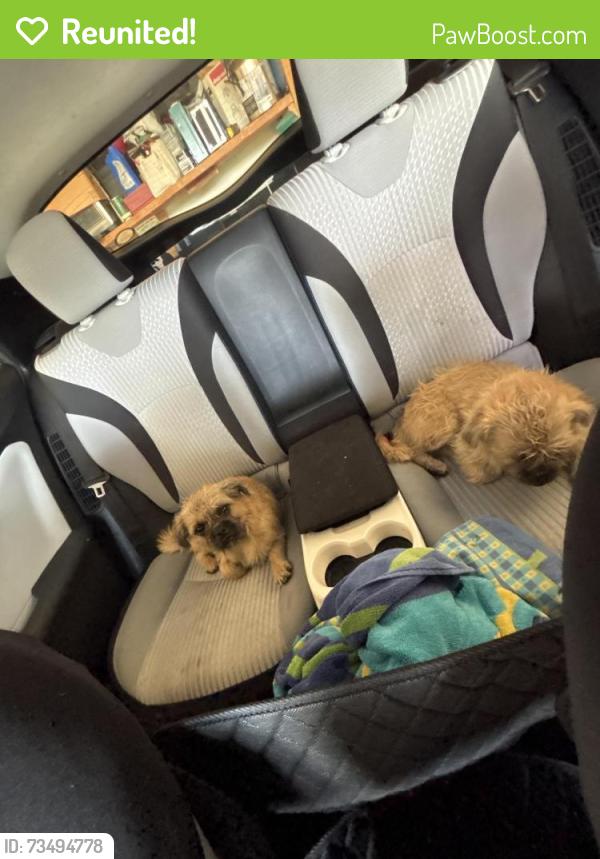 Reunited Unknown Dog last seen Jesmond dene and Rue Montreux, Escondido, CA 92026