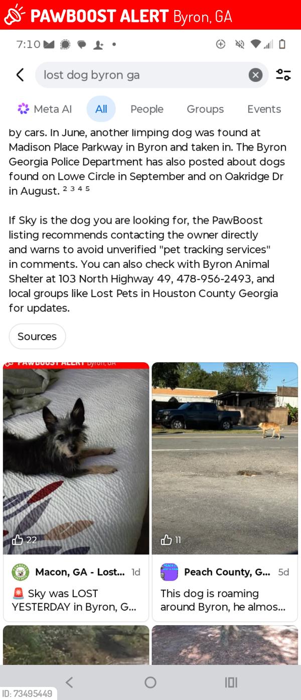 Lost Female Dog last seen kay elementary, Byron, GA 31008