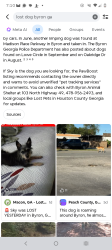 Lost Female Dog last seen kay elementary, Byron, GA 31008