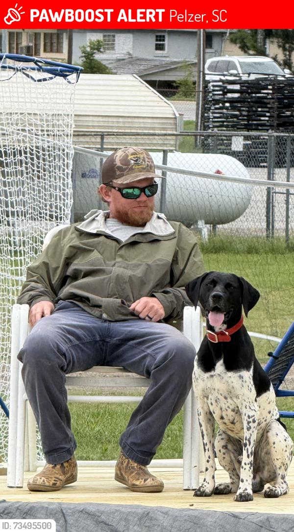 Lost Male Dog last seen West Georgia, Pelzer, SC 29669