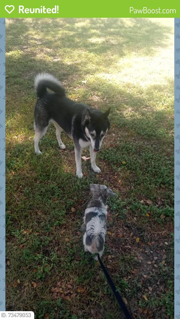 Reunited Unknown Dog last seen Highland Hills Rd, Dallas, TX 75241