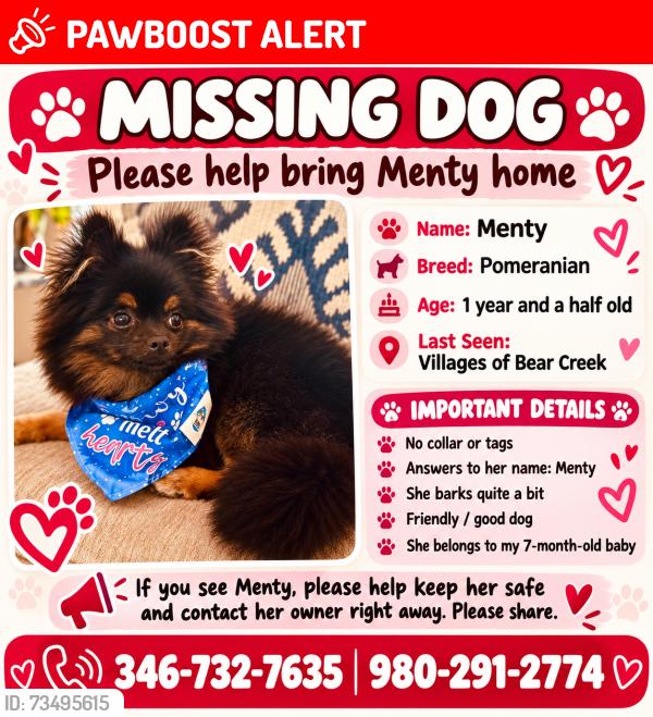 Lost Female Dog last seen Villages of Bear creek, Villages Of Bear Creek, TX 77449
