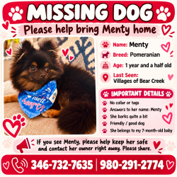 Lost Female Dog last seen Villages of Bear creek, Villages Of Bear Creek, TX 77449
