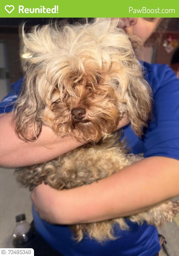 Reunited Female Dog last seen Webb Street, Selma, NC 27576