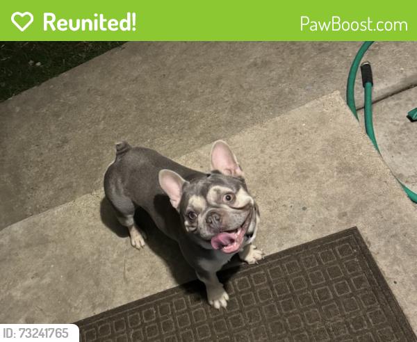 Reunited Male Dog last seen He was seen near Academy and W. Esplanade, Metairie, LA 70003