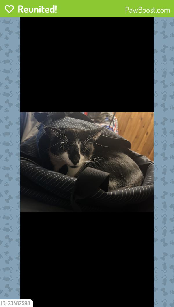 Reunited Male Cat last seen Arkansas and nordolk, Aurora, CO 80017