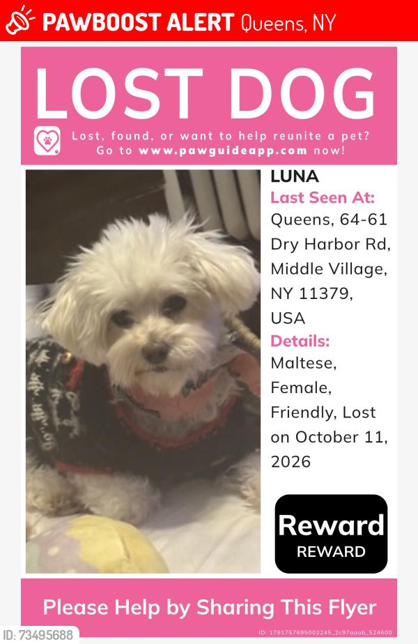 Lost Female Dog last seen Near st and dry harbor, Queens, NY 11379