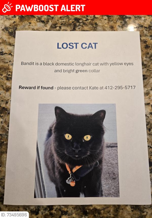Lost Male Cat last seen Trax Farms, Peters Township, PA 15367