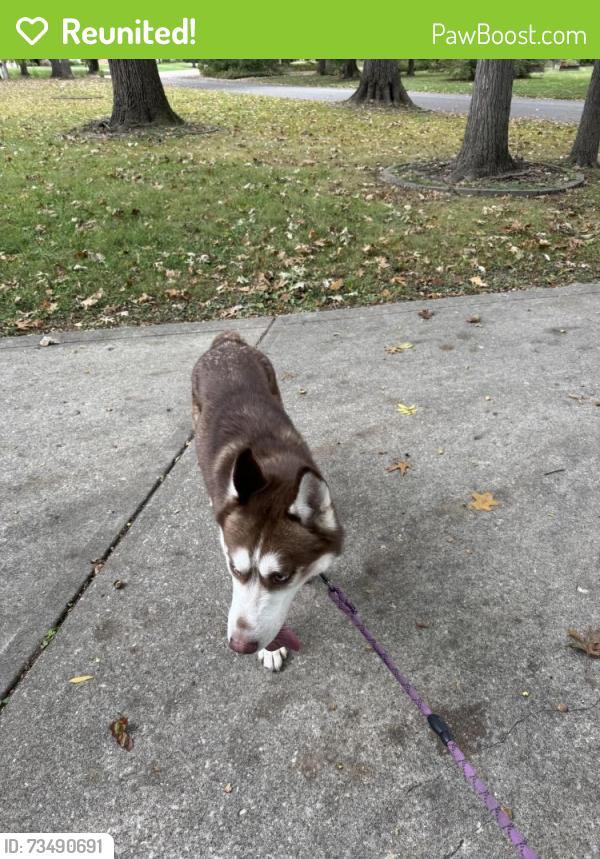 Reunited Male Dog last seen Near Manning Rd, Indianapolis, IN 46228