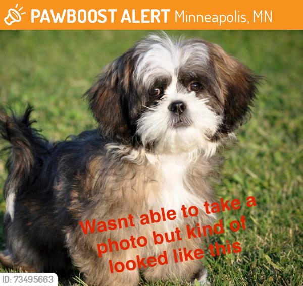 Found/Stray Unknown Dog last seen Buchanan and Broadway behind the train tracks, ran into the woods behind the first hse on the left, Minneapolis, MN 55413