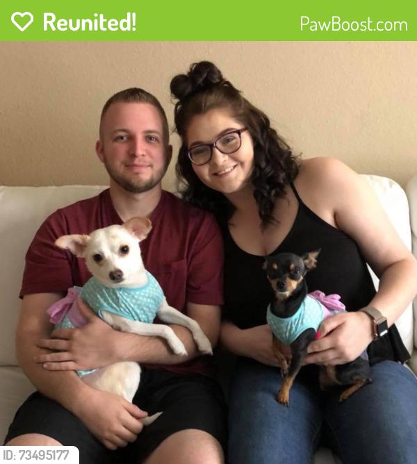 Reunited Female Dog last seen Oakshade church, Cleveland, TX 77327