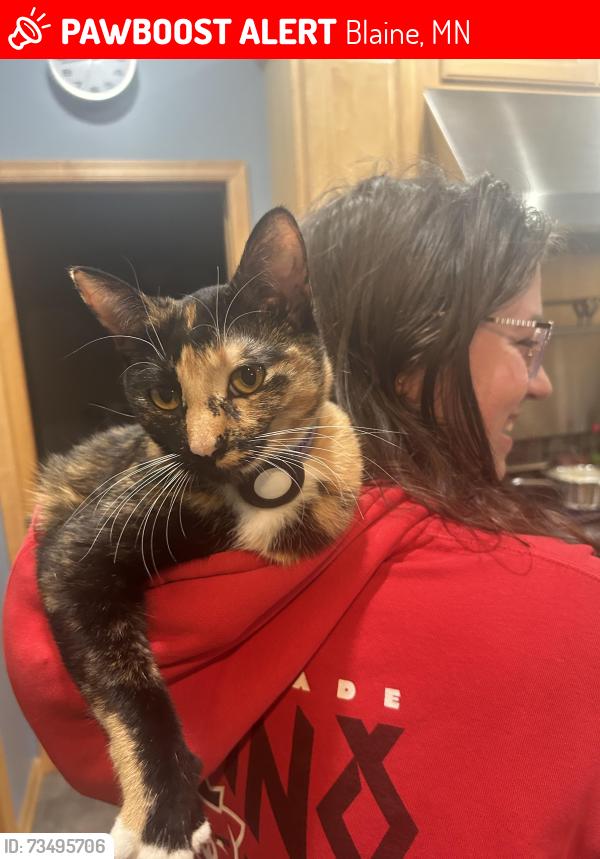 Lost Female Cat last seen London Park, Blaine, MN 55449