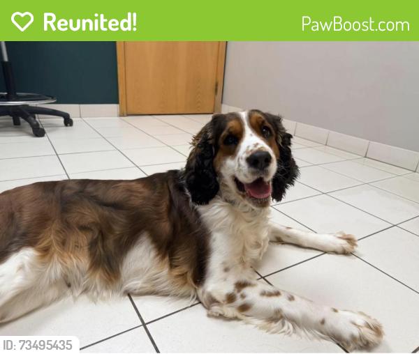 Reunited Female Dog last seen Elk Lake Road, Golf course, Elk River, MN 55330