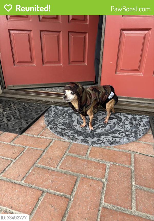 Reunited Unknown Dog last seen Near Meadow Ln, Rialto, CA 92377, USA, Rialto, CA 92377