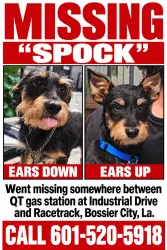 Lost Male Dog last seen QT Gas Station, Industrial, Race Track., Bossier Parish, LA 71006