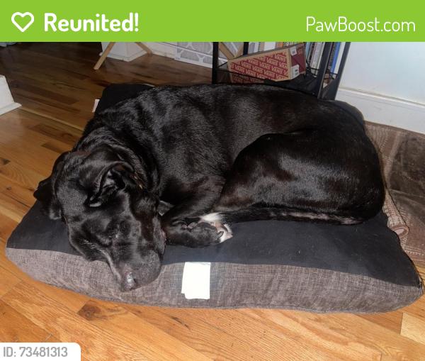 Reunited Male Dog last seen Edgewood and whittle springs road, Knoxville, TN 37917