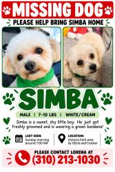 Lost Male Dog last seen 182nd street, Carson, CA 90746