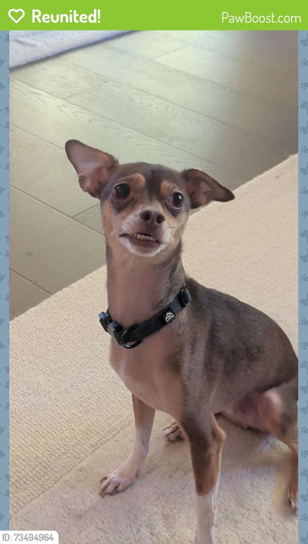 Reunited Male Dog last seen Christopher lane by elementary school, Menasha, WI 54952