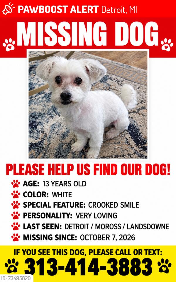 Lost Male Dog last seen Moross/landsdowne, Detroit, MI 48224