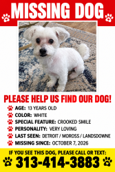 Lost Male Dog last seen Moross/landsdowne, Detroit, MI 48224