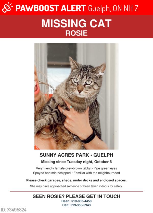 Lost Female Cat last seen Sunny Acres Park, Guelph, ON N1H 2Z1