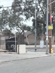 Found/Stray Unknown Dog last seen Wilmington and 103rd street, Los Angeles, CA 90002