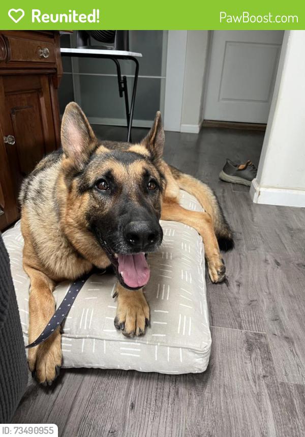 Reunited Unknown Dog last seen Highway 8 on-ramp at 2nd street, El Cajon, CA 92021