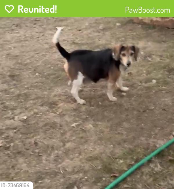 Reunited Male Dog last seen Pleasant Hope, Silver Creek, GA 30173