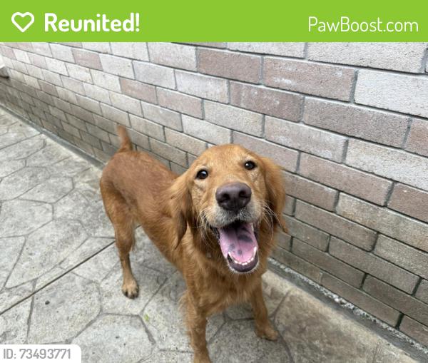 Reunited Unknown Dog last seen Madrid rd, Brownsville, TX 78520