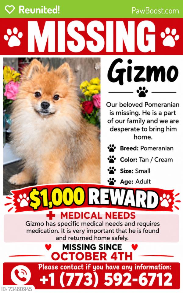 Reunited Male Dog last seen Blackhawk ests, Des Plaines, IL 60018