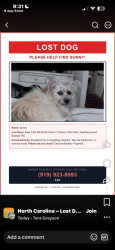 Lost Female Dog last seen Cole Mill/Sturger area, Durham, NC 27701