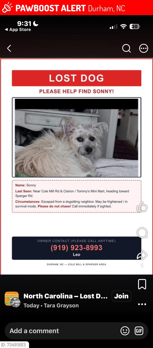 Lost Female Dog last seen Cole Mill/Sturger area, Durham, NC 27701