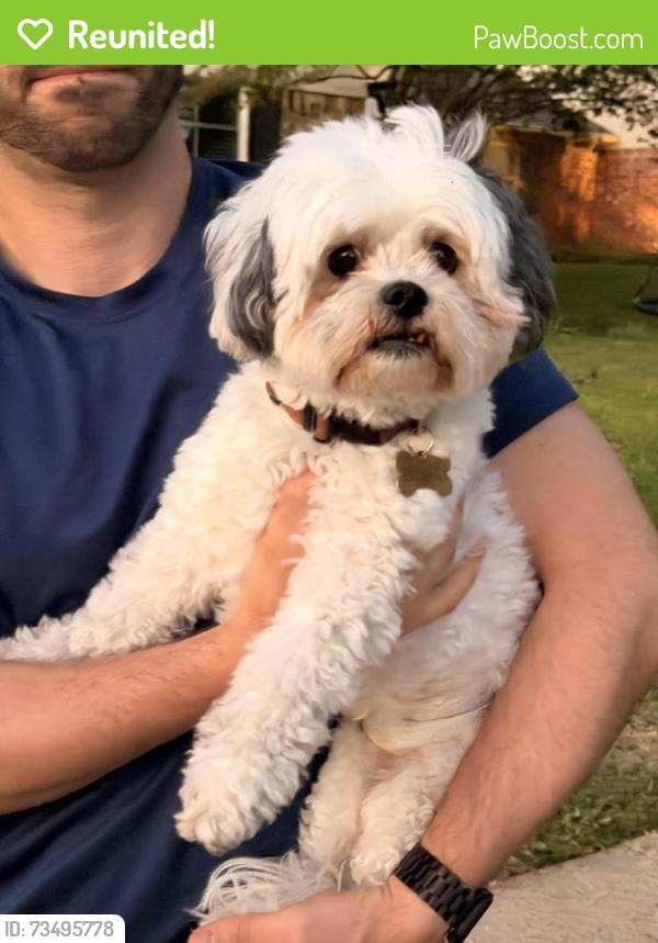 Reunited Male Dog last seen Hillbriar and Woodbriar Drive in Dallas, TX, Dallas, TX 75248