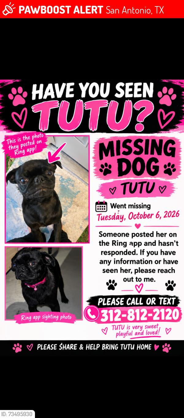 Lost Female Dog last seen georgia trace, San Antonio, TX 78109