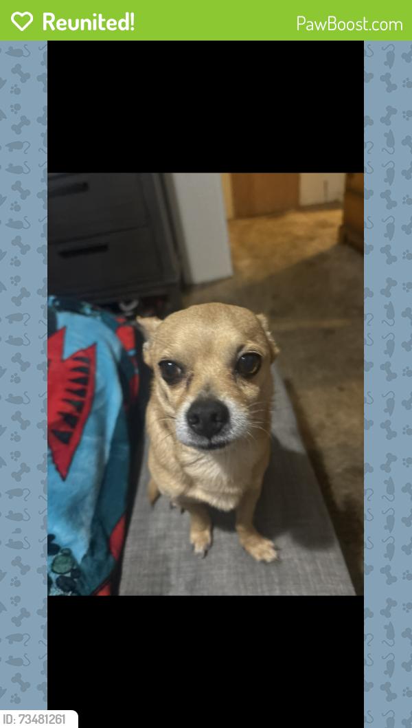 Reunited Male Dog last seen Bethel church rd and Johnston county Harnett mart, Angier, NC 27501